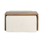 Asher Ottoman