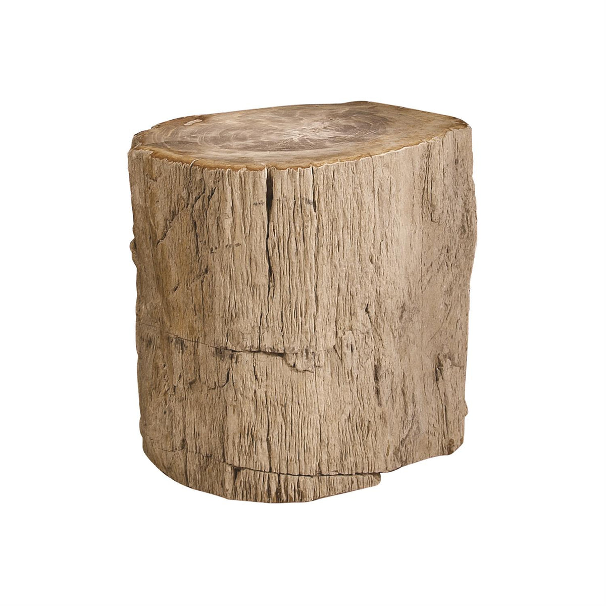 Petrified Wood Accent Table