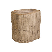 Petrified Wood Accent Table