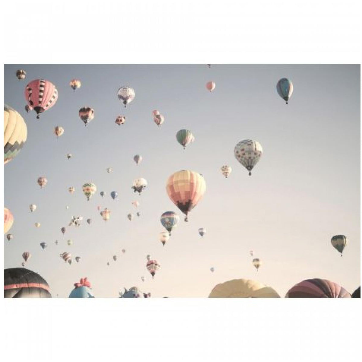 Balloon Festival