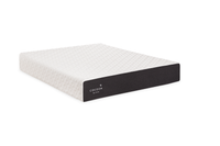 Cocoon Mattress Collection