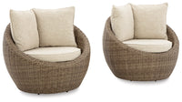 Danson Swivel Lounge Chairs (Set of 2)