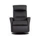 Paradise Standard Recliner