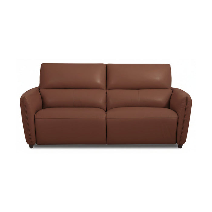 Sicely Leather Power Reclining Sofa
